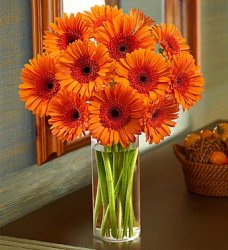 Orange Gerbera Daisy Bouquet