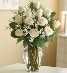 The White Rose Elegance The White Rose Elegance