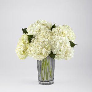 White Hydrangea Bouquet White Hydrangea Bouquet