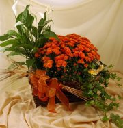 Fall Flowering Planter Fall Flowering Planter