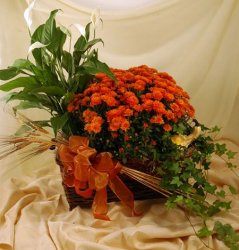 Fall Flowering Planter
