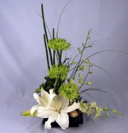 Isle Of Beauty design Isle Of Beauty design