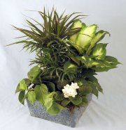 Tranquility Planter Tranquility Planter