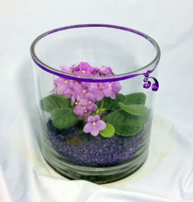 African Violet Cylinder