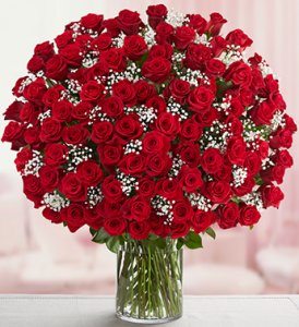 The 100 Red Roses in a Vase The 100 Red Roses in a Vase