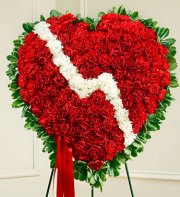 Red Sympathy Standing Broken Heart Red Sympathy Standing Broken Heart