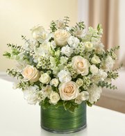 White Cherished Memories White Cherished Memories