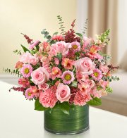 Pink Cherished Memories Pink Cherished Memories