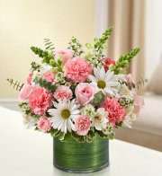Pink and White Cherished Memories Pink and White Cherished Memories