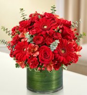 Red Cherished Memories Red Cherished Memories