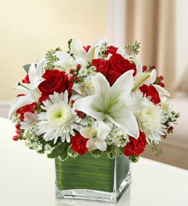Red and White Healing Tears Bouquet Red and White Healing Tears Bouquet