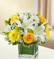 Healing Tears - Yellow Healing Tears - Yellow