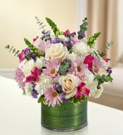 Lavender and White Cherished Memories Lavender and White Cherished Memories