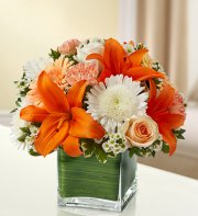Peach, Orange and White Simplicity Cube Peach, Orange and White Simplicity Cube