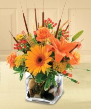 Autumn in a Cube Arrangment Autumn in a Cube Arrangment