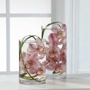 Tranquil Orchid Arrangement Tranquil Orchid Arrangement
