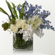 The Blue And White Arrangement The Blue And White Arrangement
