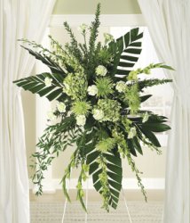 The Green And White Spray