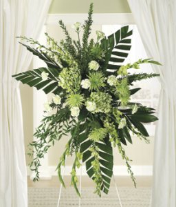 The Green And White Spray  The Green And White Spray