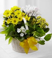 Sunshine Basket Sunshine Basket