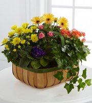 Gentle Blossoms Basket Gentle Blossoms Basket