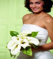 The Cala Lily Bouquet The Cala Lily Bouquet
