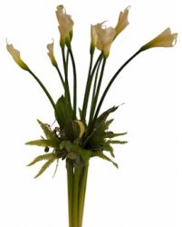 The Concorde of Simplicity Bouquet