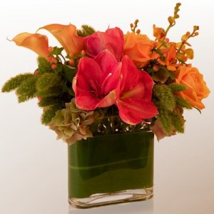 The Fog And Sun In San Francisco Bouquet