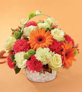 The Best Year Basket