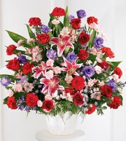 Solace Arrangement Solace Arrangement