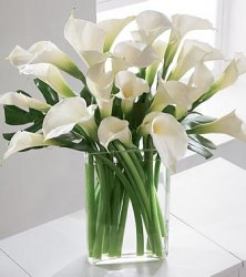 Simplicity Luxury Calla Lily Bouquet