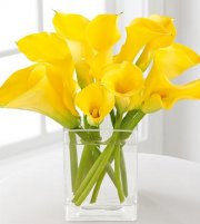 Glimmers Of Hope Calla Lily Bouquet Glimmers Of Hope Calla Lily Bouquet