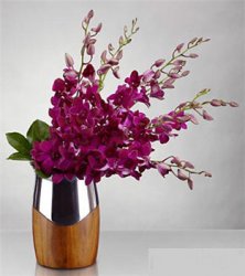 New Perspectives Orchid Bouquet