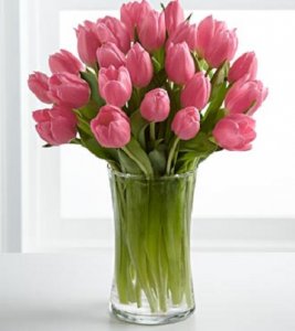 Pink Prelude Tulip Bouquet- 20 Stems