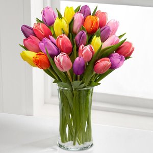 Rush of Color Assorted Tulip Bouquet - 20 assorted Tulips