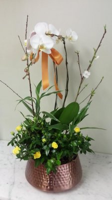 Floral Orchid Garden Planter