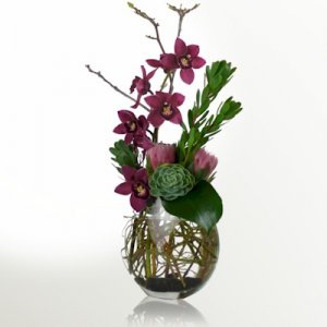 The Tropical Muse Bouquet