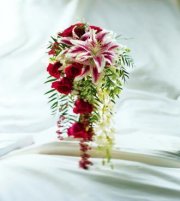 The Here Comes The Bride Bouquet The Here Comes The Bride Bouquet
