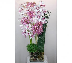 Orchid Dream Bouquet