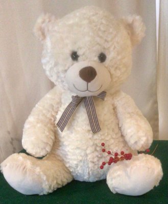 White Plush Teddy Bear