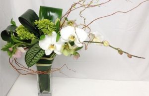 Orchid Phenomenon Bouquet