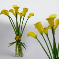 The Calla Pyramid Bouquet