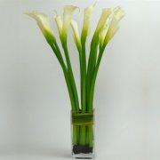 The White Simplicity Bouquet The White Simplicity Bouquet
