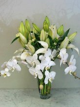 White Paradise Bouquet White Paradise Bouquet