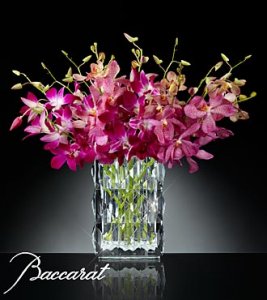 Blushing Sentiments Orchid Bouquet