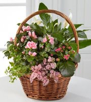 Pink Inspiration Dish Garden Pink Inspiration Dish Garden