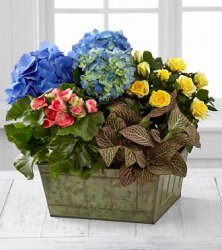 Style Elements Dishgarden