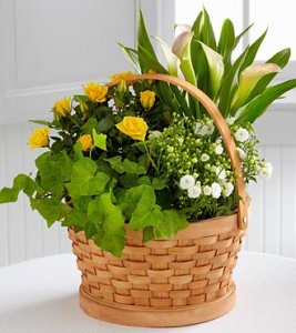 Cheerful Wishes Blooming Basket