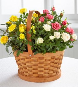 Rose Garden Basket