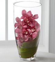 Spirited Luxury Orchid Bouquet Spirited Luxury Orchid Bouquet